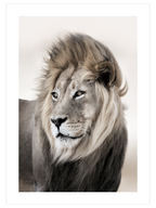 Aslan - Art Print