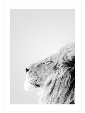 Aslan Profili - Art Print