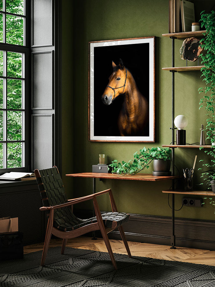 The Horse - Art Print  Poster