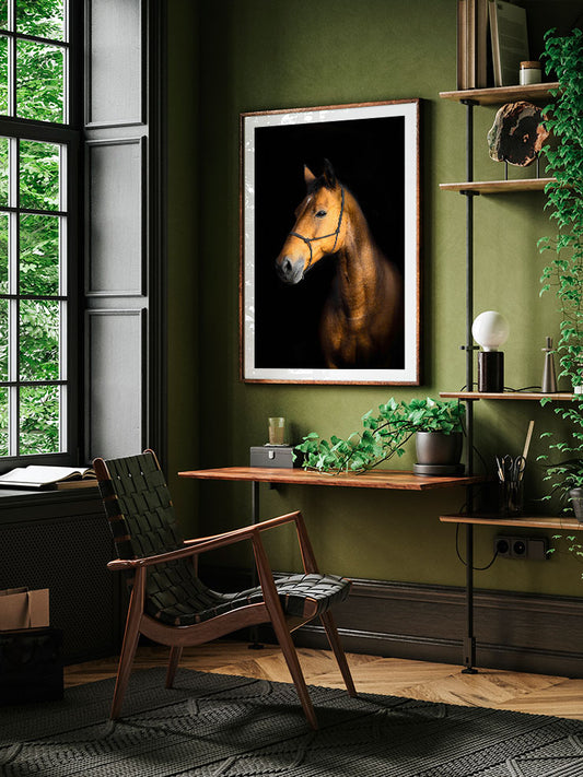 The Horse - Fine Art Poster