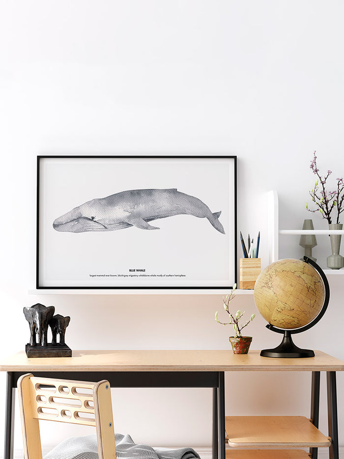 Balina N4 - Art Print  Poster