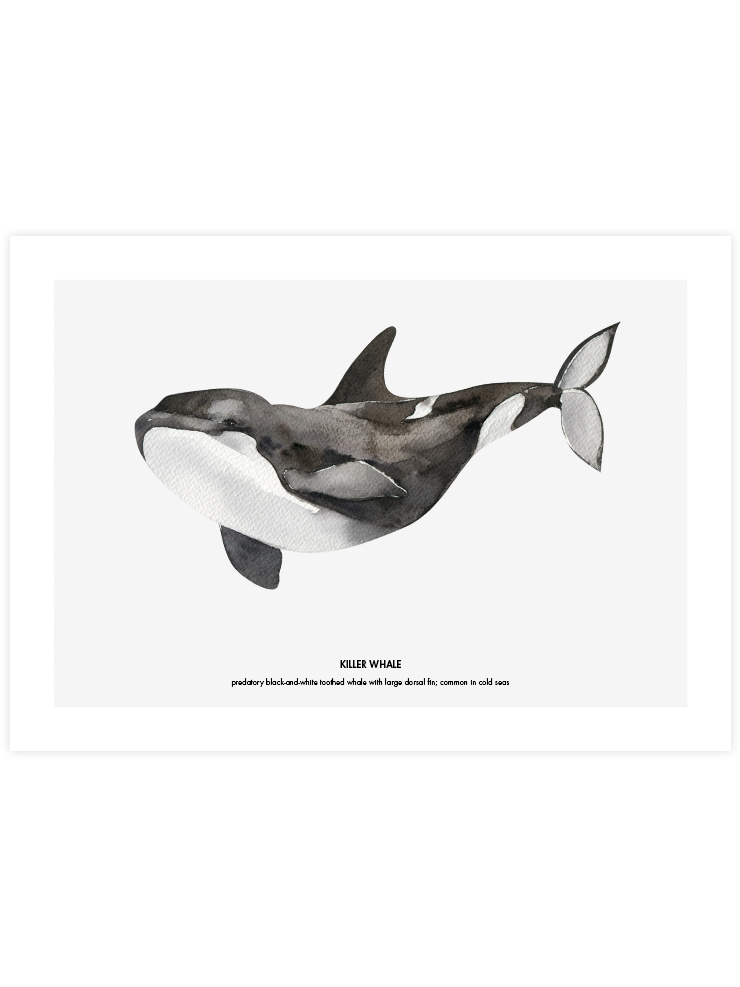 Balina N3 - Art Print Ürün ana görseli