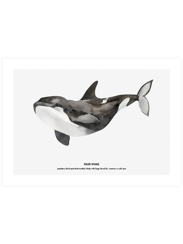 Balina N3 - Art Print