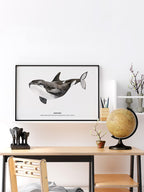 Balina N3 - Art Print