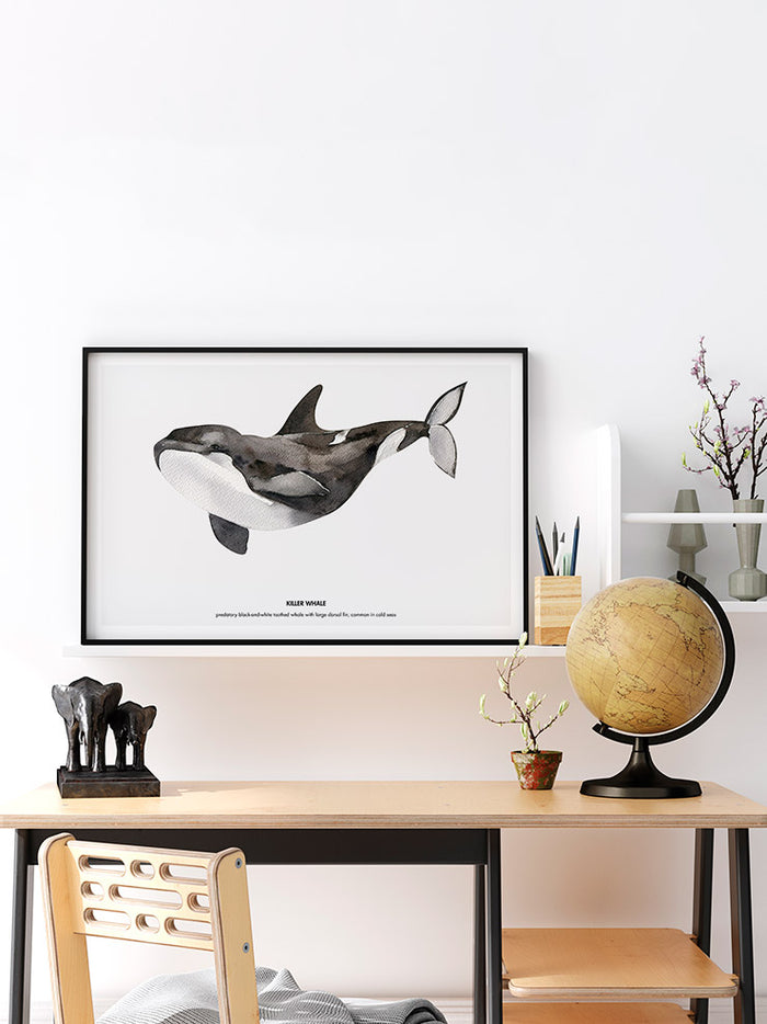 Balina N3 - Art Print  Poster