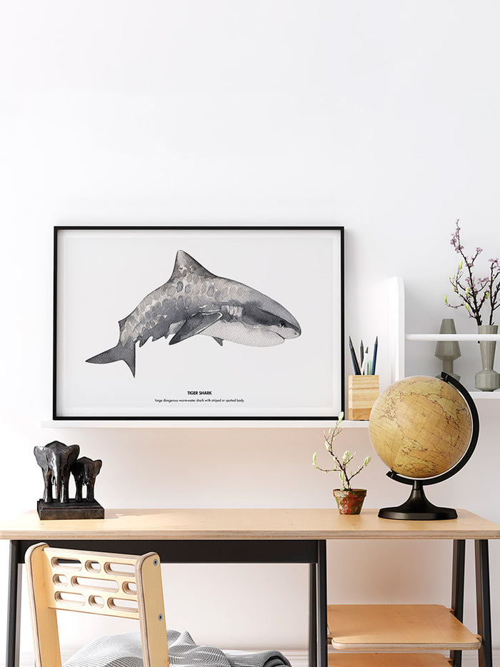 Shark - Art Print  Poster