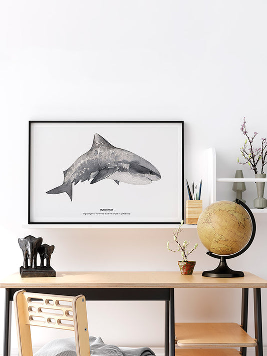 Shark Poster - Giclée Baskı