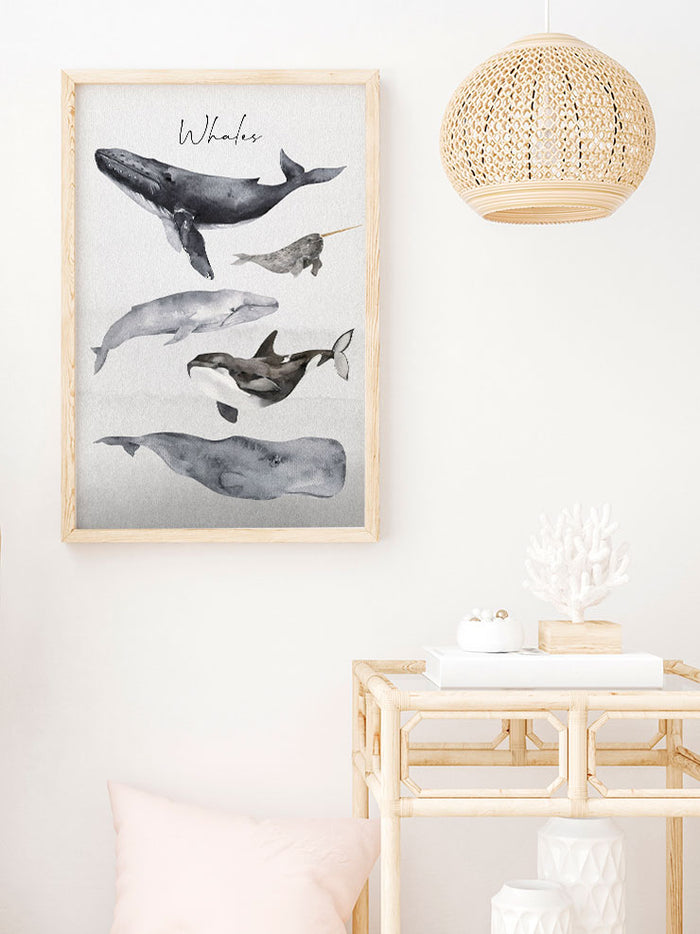Whales - Art Print  Poster