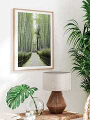 Bambu Yolu - Fine Art Poster
