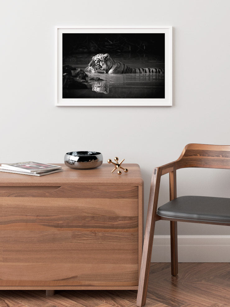 Bengal Kaplanı - Art Print