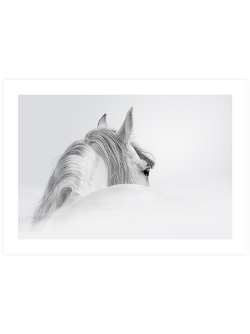 Beyaz At - Art Print
