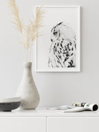 Mavi Gözlü Baykuş - Art Print