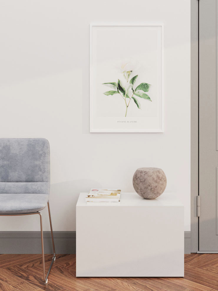 Pivoine Blanche - Art Print  Poster