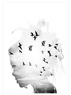 Birds In My Head - Art Print