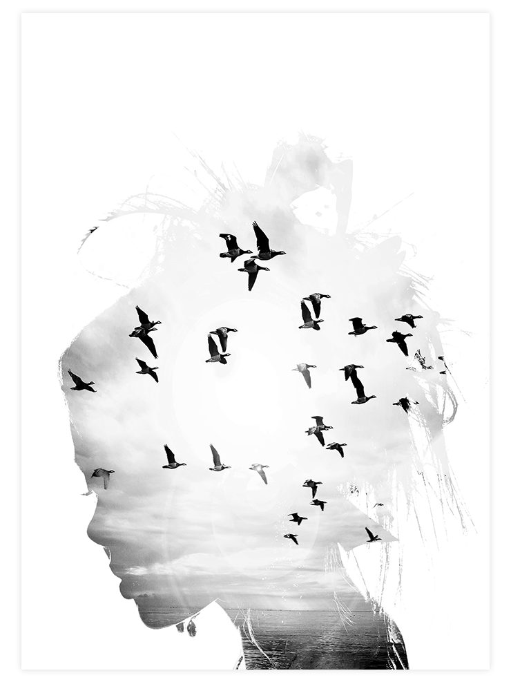 Birds In My Head - Art Print Fotoğraflar Poster
