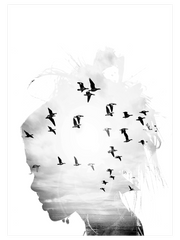 Birds In My Head Poster - Giclée Baskı