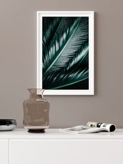 Palmiye Yaprakları Poster - Giclée Baskı