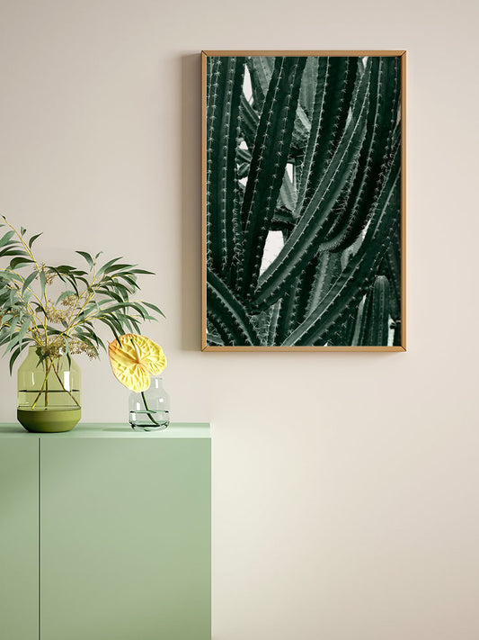 Cactus - Fine Art Poster