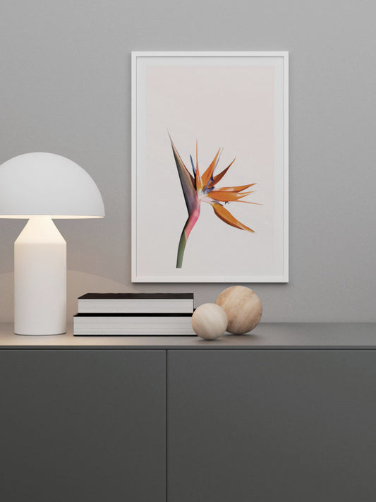 Bird Of Paradise Poster - Giclée Baskı