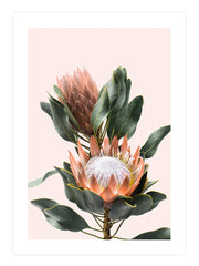 Fleur Orientale Poster Seti