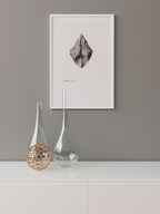 Deniz Kabuğu N3 - Art Print