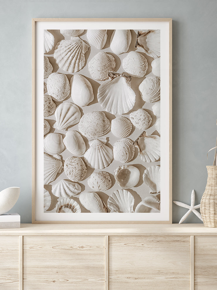 Deniz Kabukları - Art Print Ürün ikincil görseli
