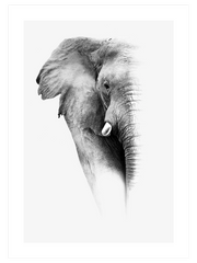 Elephant Poster - Giclée Baskı
