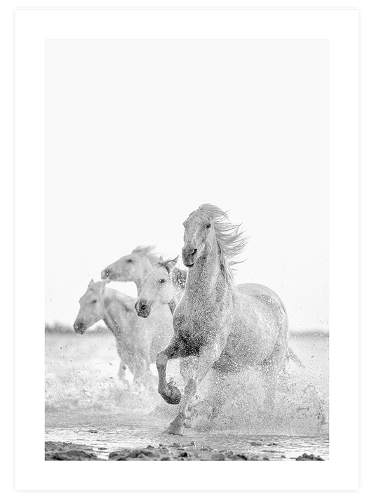 Freedom Poster - Giclée Baskı