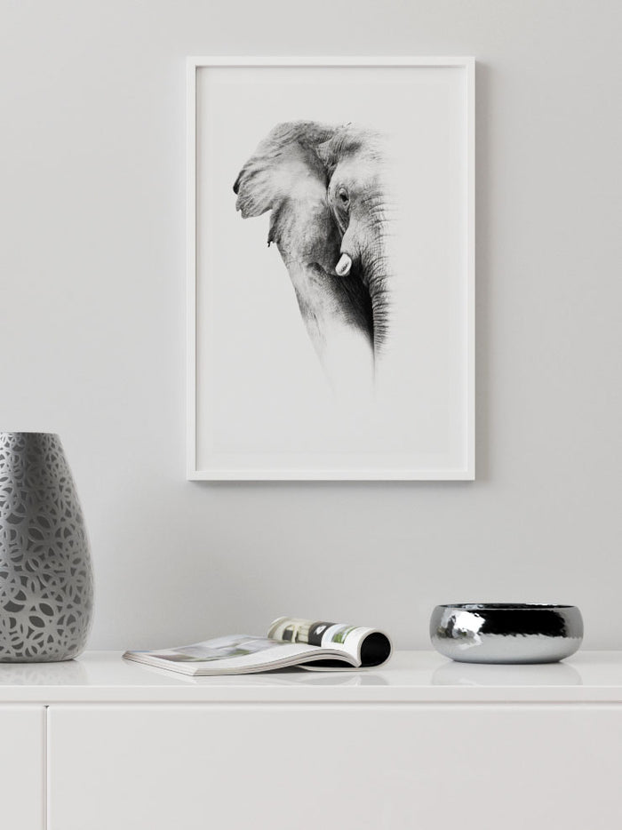 Elephant - Art Print  Poster