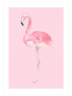 Flamingo - Art Print