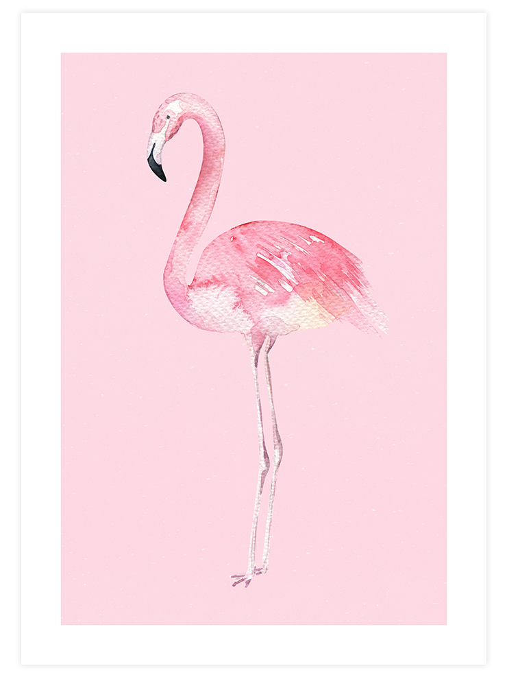 Flamingo - Art Print