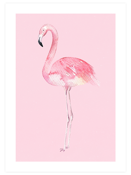 Flamingo Poster - Giclée Baskı