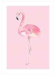 Flamingo - Fine Art Poster