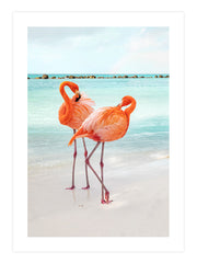 Amalfi & Flamingos Poster Seti