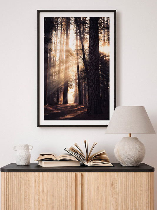 Sunlight Poster - Giclée Baskı