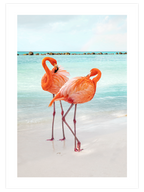 İki Flamingo - Art Print