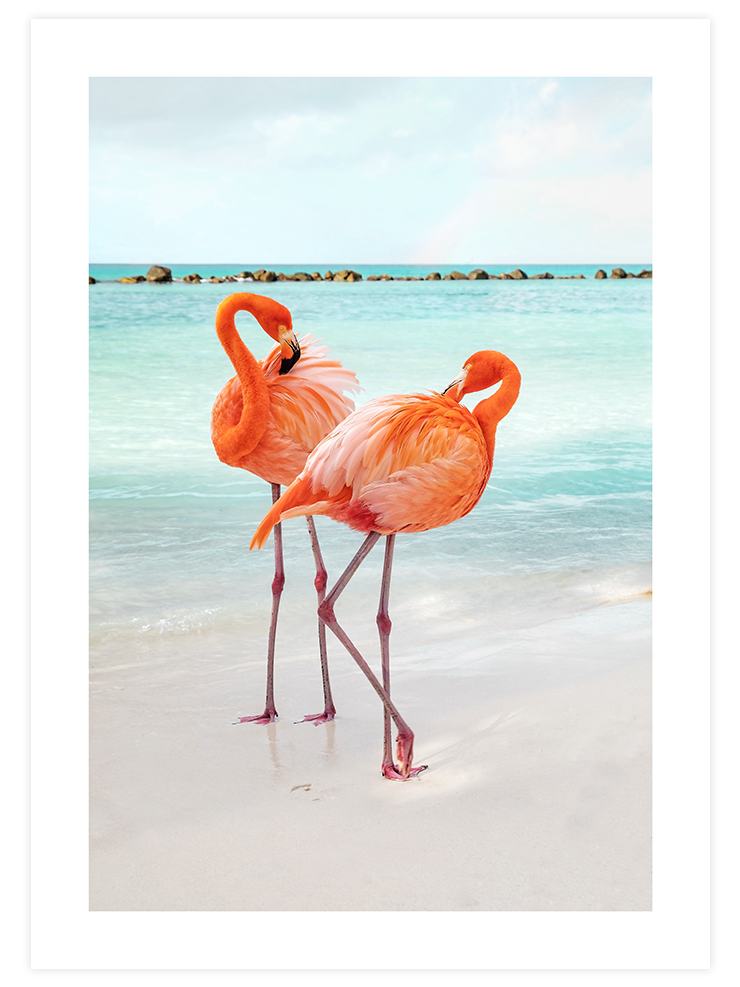 İki Flamingo - Art Print Fotoğraflar Poster