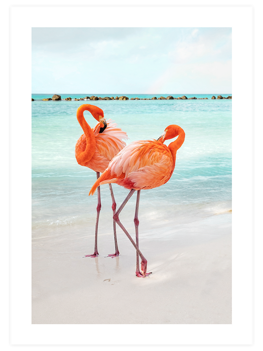 İki Flamingo Poster - Giclée Baskı