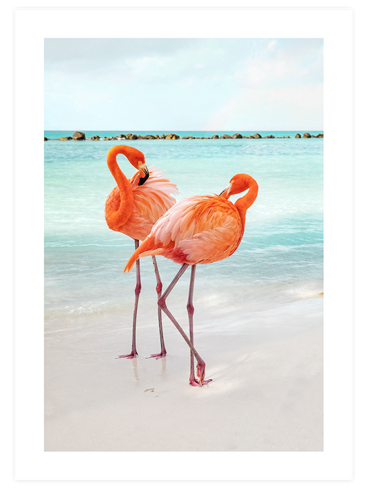 İki Flamingo - Fine Art Poster