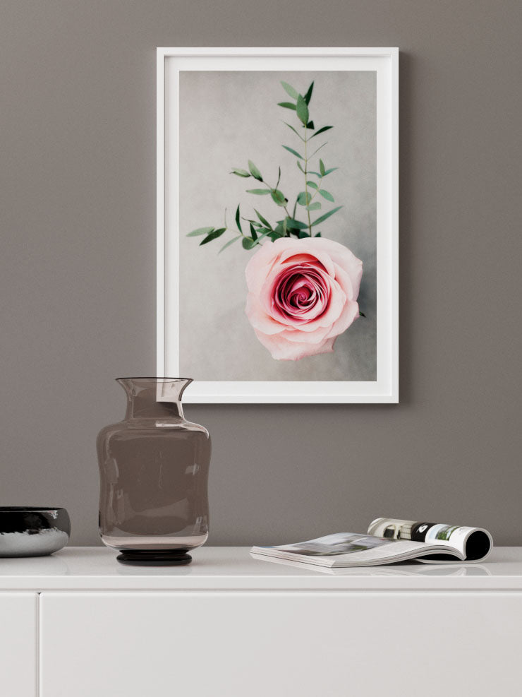 Pembe Gül - Art Print Ürün ikincil görseli