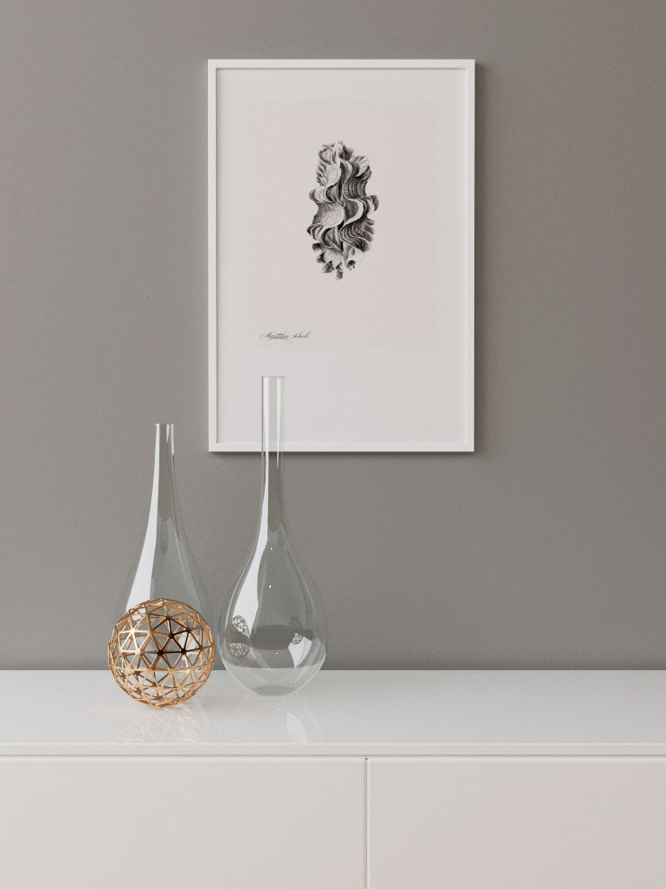 Deniz Kabuğu N2 - Art Print Ürün ikincil görseli