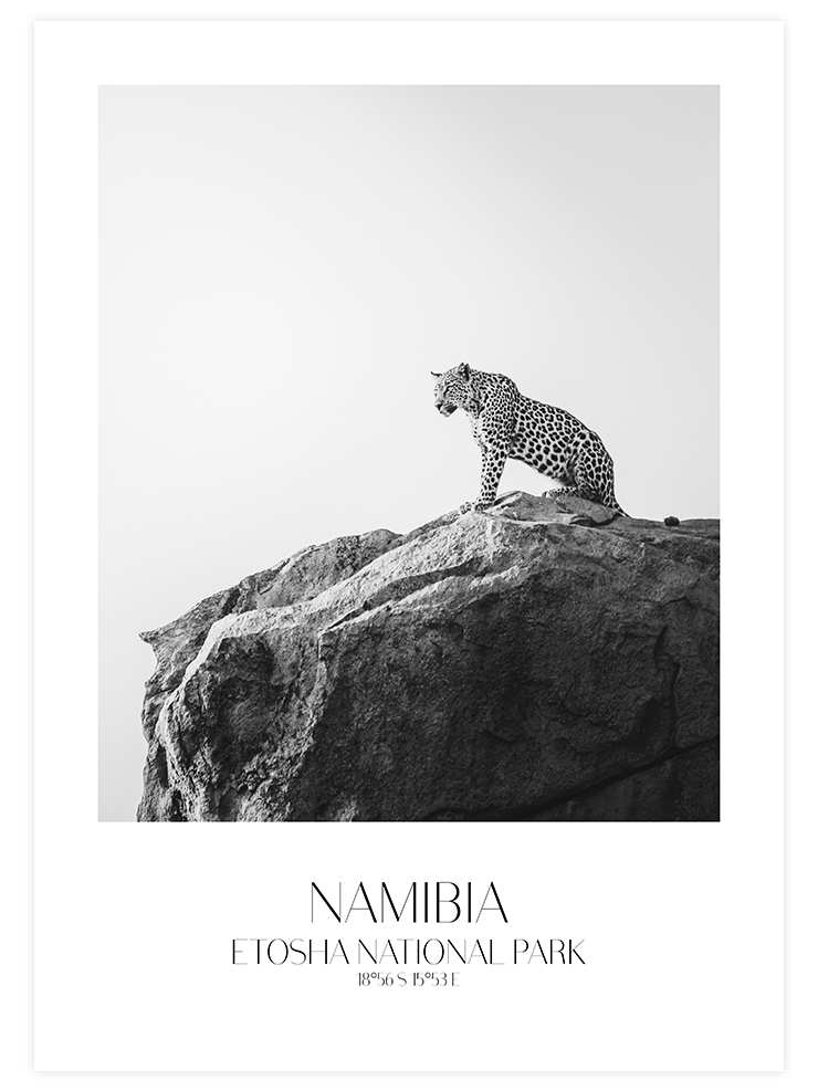 Jaguar - Art Print Ürün ana görseli