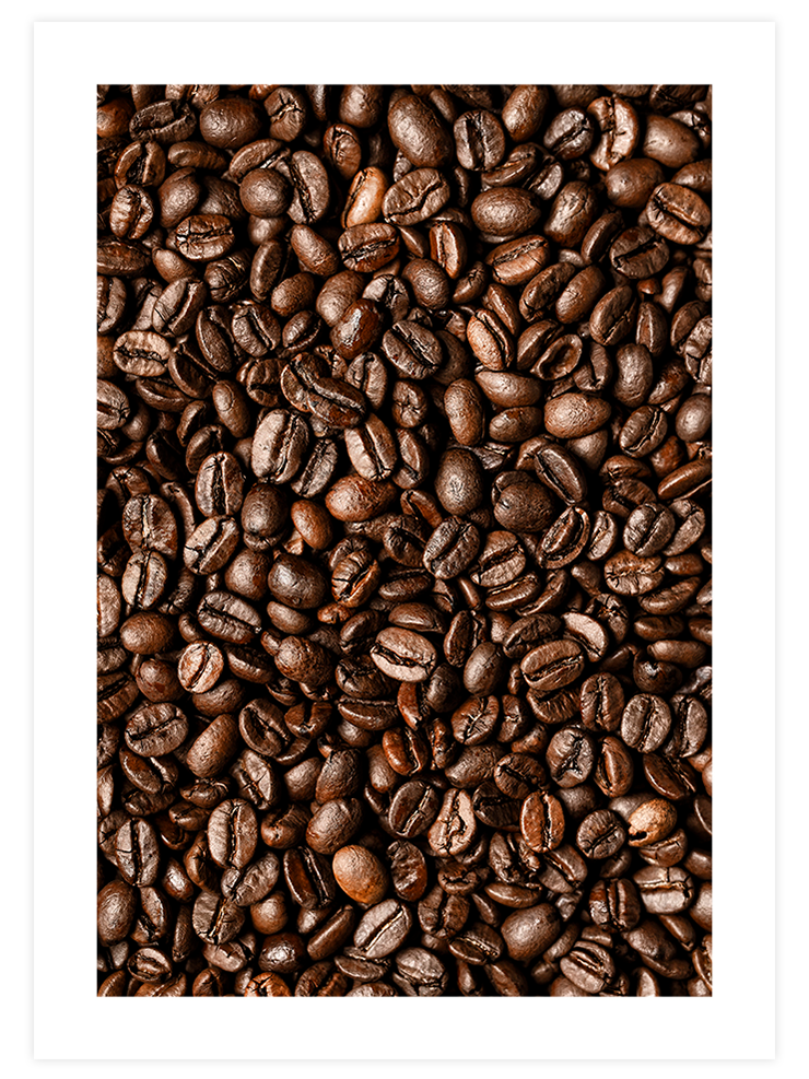 Kahve Çekirdekleri - Art Print