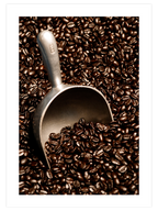Kahve Çekirdekleri - Art Print