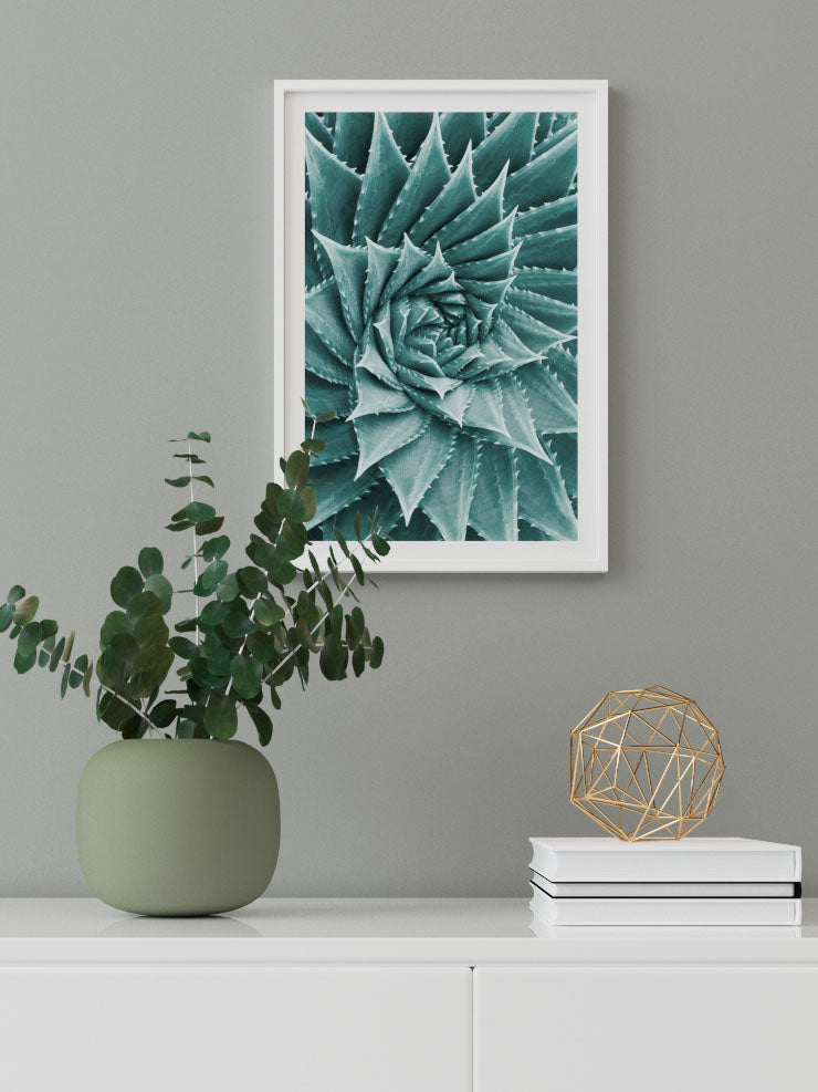 Sukulent - Art Print Ürün ikincil görseli