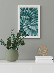 Sukulent - Fine Art Poster