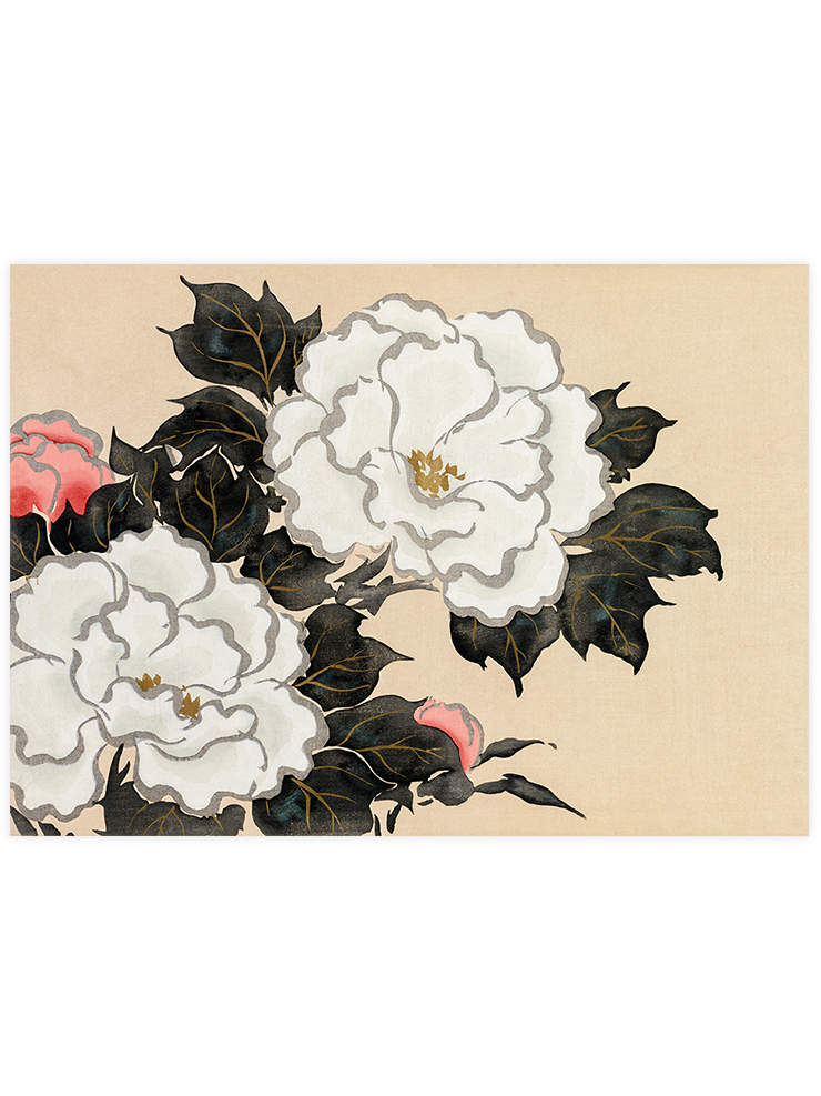 Kamisaka Sekka Flowers from Momoyogusa - Art Print Ürün ana görseli