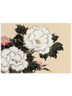 Kamisaka Sekka Flowers from Momoyogusa - Art Print