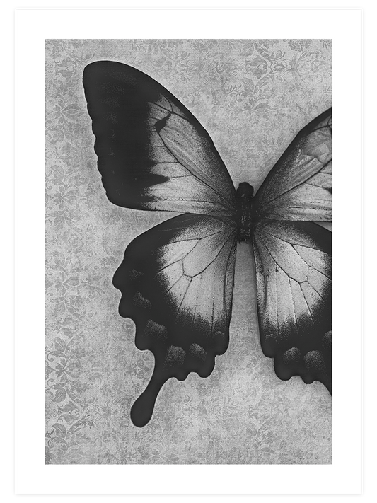 Kelebek - Fine Art Poster