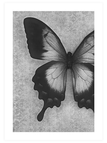 Kelebek - Art Print